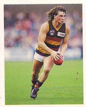 1993 Select AFL Stickers #17 David Brown Front